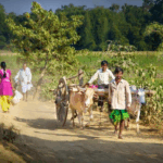 1. ഗുഡ്‌സ് ആന്റ് സെയില്‍സ് ടാക്‌സ് (ജി എസ് ടി) നിലവില്‍ വന്നത് എന്നാണ്? എ) 1 ഏപ്രില്‍ 2017 ബി) 1 ജൂലൈ 2017 സി) 1 ജൂലൈ 2015 ഡി) 1 ജൂലൈ 2015 ഉത്തരം ബി സര്‍ക്കാര്‍ ചില ആവശ്യങ്ങള്‍ക്കായി ചുമത്തുന്ന അധിക നികുതി സെസ്സ് എന്നറിയപ്പെടുന്നു. ചരക്ക് സേവന നികുതി (ജിഎസ്ടി) കൗണ്‍സില്‍ രൂപീകരിച്ചത് 2016-ല്‍ ആണ്. ജിഎസ്ടിയുടെ ആപ്തവാക്യം ഒരു രാഷ്ട്രം, ഒരു നികുതി, ഒരു വിപണി എന്നാണ്. കേരള സംസ്ഥാനത്തെ സൂചിപ്പിക്കുന്ന ജിഎസ്ടി തിരിച്ചറിയല്‍ നമ്പര്‍ 32 ആണ്. ഇന്ത്യയില്‍ വരുമാന നികുതി പിരിക്കുവാനുള്ള അവകാശം കേന്ദ്ര സര്‍ക്കാരിനാണ്. നിലവില്‍ ഇന്ത്യയില്‍ വിവിധ ചരക്കുകളുടേയും സേവനങ്ങളുടേയും ജി എസ് ടി നിരക്ക് 5 ശതമാനവും 18 ശതമാനവും ആണ്. സ്വതന്ത്ര ഇന്ത്യയില്‍ നടപ്പിലാക്കിയ ഏറ്റവും വലിയ നികുതി പരിഷ്‌കാരമാണ് ജിഎസ്ടി. 2. ഏത് പഞ്ചവത്സര പദ്ധതിയാണ് ദാരിദ്ര്യ നിര്‍മ്മാര്‍ജ്ജനം പ്രധാന ലക്ഷ്യമായി സ്വീകരിച്ചത്? എ) ഒന്നാം പഞ്ചവത്സര പദ്ധതി ബി) രണ്ടാം പഞ്ചവത്സര പദ്ധതി സി) അഞ്ചാം പഞ്ചവത്സര പദ്ധതി ഡി) നാലാം പഞ്ചവത്സര പദ്ധതി ഉത്തരം: സി ഒന്നാം പഞ്ചവത്സര പദ്ധതി കൃഷിക്ക് പ്രാധാന്യം നല്‍കി. ഇന്ത്യയില്‍ ആകെ 12 പഞ്ചവത്സര പദ്ധതികള്‍ നടപ്പിലാക്കിയിട്ടുണ്ട്. ഇന്ത്യന്‍ ആസൂത്രണത്തിന്റെ ശില്‍പി എന്നറിയപ്പെടുന്നത് പി സി മഹലനോബിസ് ആണ്. പ്ലാന്‍ഡ് ഇക്കോണമി ഫോര്‍ ഇന്ത്യ എന്ന പുസ്തകം രചിച്ചത് എം വിശ്വേശരയ്യ ആണ്. ആസൂത്രണ കമ്മിഷന്‍ നിലവില്‍വന്നത് 1950-ല്‍ ആണ്. ആസൂത്രണ കമ്മിഷന്റെ ആദ്യ അധ്യക്ഷന്‍ ജവഹര്‍ലാല്‍ നെഹ്‌റു ആണ്. ആസൂത്രണ കമ്മിഷന്റെ ആദ്യ ഉപാധ്യക്ഷന്‍ ഗുല്‍സരിലാല്‍ നന്ദ ആണ്. 3. താഴെ കൊടുത്തിരിക്കുന്നവയില്‍ ആരാണ് ഇന്ത്യന്‍ ഭരണഘടനയുടെ ഡ്രാഫ്റ്റിങ് കമ്മിറ്റിയില്‍ ഇല്ലാതിരുന്നത്? എ) ജവഹര്‍ലാല്‍ നെഹ്‌റു ബി) അല്ലാടി കൃഷ്ണസ്വാമി അയ്യര്‍ സി) ബി എല്‍ മിത്തര്‍ ഡി) കെ എം മുന്‍ഷി ഉത്തരം എ ഭരണഘടനാ നിര്‍മ്മാണസഭയുടെ അധ്യക്ഷന്‍ ഡോ രാജേന്ദ്ര പ്രസാദ് ആയിരുന്നു. ഇന്ത്യയ്ക്ക് ഒരു ഭരണഘടനാ അസംബ്ലി എന്ന ആശയം 1934-ല്‍ മുന്നോട്ടുവച്ച വ്യക്തി എം എന്‍ റോയ് ആണ്. ഭരണഘടനാ നിര്‍മ്മാണസഭയുടെ സെക്രട്ടറി എച്ച് വി ആര്‍ അയ്യങ്കാര്‍ ആയിരുന്നു. 1946 ഡിസംബര്‍ 9-ന് ഭരണഘടനാ നിര്‍മ്മാണസഭയുടെ താല്‍ക്കാലിക അധ്യക്ഷനായി സച്ചിദാനന്ദ സിന്‍ഹയെ തിരഞ്ഞെടുത്തു. ഭരണഘടന നിര്‍മ്മാണ സഭ രൂപീകരിച്ചത് 1946 ഡിസംബര്‍ 6-ന് ആണ്. 1946 ഡിസംബര്‍ 13-ന് ജവഹര്‍ലാല്‍ നെഹ്‌റു ഭരണഘടന നിര്‍മ്മാണ സഭയില്‍ ലക്ഷ്യപ്രമേയം അവതരിപ്പിച്ചു. 4. ഭരണഘടനയുടെ ഏത് ഭേദഗതി വഴിയാണ് അനുച്ഛേദം 300എ കൊണ്ടുവന്നത്? എ) ഭേദഗതി 42 ബി) ഭേദഗതി 44 സി) ഭേദഗതി 64 ഡി) ഭേദഗതി 73 ഉത്തരം ബി 42-ാം ഭരണഘടനാ ഭേദഗതി മിനി കോണ്‍സ്റ്റിറ്റിയൂഷന്‍ എന്നറിയപ്പെടുന്നു 42-ാം ഭരണഘടനാ ഭേദഗതി കൊണ്ടുവന്ന പ്രധാനമന്ത്രി ഇന്ദിരാഗാന്ധിയാണ്. 42-ാം ഭരണഘടനാ ഭേദഗതിയില്‍ ഒപ്പുവച്ച രാഷ്ട്രപതി ഫക്രുദ്ദീന്‍ അലി അഹമ്മദ് ആണ്. സ്വത്തവകാശത്തെക്കുറിച്ച് പ്രതിപാദിക്കുന്ന അനുച്ഛേദമാണ് 300എ. സ്വത്തവകാശം ഇപ്പോള്‍ നിയമപരമായ അവകാശം ആണ്. ഭരണഘടന നിലവില്‍ വരുമ്പോള്‍ മൗലികാവകാശമായിരുന്ന സ്വത്തവകാശത്തെ നിയമാവകാശമാക്കി മാറ്റിയത് 42-ാം ഭരണഘടനാ ഭേദഗതിയിലൂടെയാണ്. 5. താഴെപ്പറയുന്നവരില്‍ കേരളത്തില്‍ നിന്നുള്ള ഏത് വനിതയാണ് ഇന്ത്യന്‍ ഭരണഘടനാ അസംബ്ലിയില്‍ അംഗമല്ലാത്തത് എ) ദാക്ഷായണി വേലായുധന്‍ ബി) അമ്മു സ്വാമിനാഥന്‍ സി) അക്കാമ്മ ചെറിയാന്‍ ഡി) ആനിമസ്‌ക്രീന്‍ ഉത്തരം സി ഭരണഘടനാ നിര്‍മ്മാണസഭയില്‍ മദ്രാസ് പ്രവിശ്യയെ പ്രതിനിധാനം ചെയ്ത ഏക ദളിത് വനിതയായിരുന്നു ദാക്ഷായണി വേലായുധന്‍. സെന്‍ട്രല്‍ ലെജിസ്ലേറ്റീവ് അസംബ്ലി, കോണ്‍സ്റ്റിറ്റിയുവന്റ് അസംബ്ലി, ഇടക്കാല പാര്‍ലമെന്റ്, ലോകസഭ, രാജ്യസഭ എന്നിങ്ങനെ ഇന്ത്യന്‍ പാര്‍ലമെന്റ് ചരിത്രത്തിലെ എല്ലാ സഭകളിലും അംഗമായ ഏക മലയാളി വനിതായണ് അമ്മു സ്വാമിനാഥന്‍. തിരുവിതാംകൂറിലെ ജൊവാന്‍ ഓഫ് ആര്‍ക്ക് എന്നറിയപ്പെടുന്നത് അക്കാമ്മ ചെറിയാന്‍ ആണ്. ഭരണഘടനയുടെ കരടുരേഖയില്‍ ഒപ്പിട്ട മലയാളിയായ വനിതയാണ് ആനിമസ്‌ക്രീന്‍. 6. 1857-ലെ കലാപകാലത്ത് ഇന്ത്യയുടെ ബ്രിട്ടീഷ് ഗവര്‍ണര്‍ ജനറല്‍ ആരായിരുന്നു? എ) കാനിങ് പ്രഭു ബി) ഡല്‍ഹൗസി പ്രഭു സി) എല്‍ജിന്‍ പ്രഭു ഡി) ലിട്ടണ്‍ പ്രഭു ഉത്തരം എ 1857 മെയ് പത്തിന് കലാപം ആരംഭിച്ച മീററ്റിലെ പട്ടാളക്കാര്‍ ഡല്‍ഹി പിടിച്ചെടുത്ത് അവസാനത്തെ മുഗള്‍ ചക്രവര്‍ത്തിയായ ബഹദൂര്‍ ഷാ രണ്ടാമനെ ഇന്ത്യയുടെ ചക്രവര്‍ത്തിയായി പ്രഖ്യാപിച്ചു. 1857-ലെ കലാപകാലത്തെ ആദ്യ കലാപകാരി മംഗള്‍ പാണ്ഡെ ആയിരുന്നു. മംഗള്‍ പാണ്ഡെ 34-ാം തദ്ദേശീയ കാലാള്‍പടയുടെ ആറാം കമ്പനിയിലാണ് സേവനം അനുഷ്ടിച്ചിരുന്നത്. ഗറില്ലാ യുദ്ധ മുറകള്‍ക്ക് പ്രസിദ്ധനായ കലാപ നേതാവ് താന്തിയാതോപ്പി ആയിരുന്നു. 1857-ലെ കലാപത്തിന് ഝാന്‍സിയില്‍ നേതൃത്വം നല്‍കിയ ലക്ഷ്മീബായിയുടെ യഥാര്‍ഥ പേര് മണികര്‍ണിക എന്നായിരുന്നു. ബീഹാറിലെ ജഗദീഷ്പൂരില്‍ കലാപത്തിന് നേതൃത്വം നല്‍കിയത് കണ്‍വന്‍സിങ് ആണ്. ഡല്‍ഹിയില്‍ കലാപം നയിച്ചത് ബഹദൂര്‍ഷായുടെ ജനറലായിരുന്ന ഭക്ത് ഖാന്‍ ആണ്. അവസാന പേഷ്വയായിരുന്ന ബാജിറാവു രണ്ടാമന്റെ ദത്തുപുത്രനായ നാനാസാഹിബ് കാണ്‍പൂരില്‍ കലാപം നയിച്ചു. 7. ഏത് ഭരണഘടന ഭേദഗതിയിലൂടെയാണ് മതേതരത്വം എന്ന വാക്ക് ആമുഖത്തില്‍ ഉള്‍പ്പെടുത്തിയത്? എ) 42 ബി) 44 സി) 46 ഡി) 43 ഉത്തരം എ ഇന്ത്യന്‍ ഭരണഘടനയുടെ ആമുഖം തയ്യാറാക്കിയത് ജവഹര്‍ലാല്‍ നെഹ്‌റു ആണ്. ഇന്ത്യന്‍ ഭരണഘടനയുടെ ആമുഖത്തിലെ ആദ്യത്തെ അഞ്ചുവാക്കുകള്‍ വീ ദി പീപ്പിള്‍ ഓഫ് ഇന്ത്യ (ഇന്ത്യയിലെ ജനങ്ങളായ നാം) എന്നാണ്. ഭരണഘടനയുടെ ആമുഖത്തെ അതിന്റെ തിരിച്ചറിയല്‍ കാര്‍ഡ് എന്ന് വിശേഷിപ്പിച്ചത് നാനി പല്‍ക്കിവാല ആണ്. ആമുഖത്തെ ഭരണഘടനയുടെ ഹൃദയവും ആത്മാവും എന്ന് വിശേഷിപ്പിച്ച ന്യായാധിപന്‍ എം ഹിദായത്തുള്ള ആണ്. ഭരണഘടനയുടെ ആമുഖത്തെ ഇതുവരെ ഒരു തവണയാണ് ഭേദഗതി ചെയ്തിട്ടുള്ളത്. ഇന്ത്യന്‍ ഭരണഘടനയുടെ ആമുഖത്തില്‍ 42-ാം ഭേദഗതിയിലൂടെ കൂട്ടിച്ചേര്‍ത്ത വാക്കുകള്‍ സോഷ്യലിസ്റ്റ്, സെക്കുലര്‍, ഇന്റഗ്രിറ്റി എന്നിവയാണ്. ആമുഖത്തിന്റെ ആശയം ഇന്ത്യ കടം കൊണ്ടിരിക്കുന്നത് യുഎസ്എയില്‍നിന്നും ഭാഷ കടം കൊണ്ടിരിക്കുന്നത് ഓസ്‌ട്രേലിയയില്‍നിന്നുമാണ്. ഇന്ത്യന്‍ ഭരണഘടനയുടെ ആമുഖത്തിലെ ഏക തിയതി 1949 നവംബര്‍ 26 ആണ്. 8. മനുഷ്യ മസ്തിഷ്‌കത്തിലെ പ്രധാന ചിന്താഭാഗം ഏതാണ്? എ) ഹൈന്‍ഡ് ബ്രെയ്ന്‍ ബി) സെറിബ്രം സി) മിഡ് ബ്രെയ്ന്‍ ഡി) ഇവയൊന്നുമല്ല ഉത്തരം ബി മനുഷ്യ ശരീരത്തിലെ തപാലാഫീസ് എന്ന് വിശേഷിപ്പിക്കപ്പെടുന്നത് തലാമസ് ആണ്. ഉറക്കസമയത്ത് സെറിബ്രത്തിലേക്കുള്ള ആവേഗങ്ങളെ തടയുന്നത് തലാമസ് ആണ്. മസ്തിഷ്‌കത്തിന്റെ ഏറ്റവും വലിയ ഭാഗം ആണ് സെറിബ്രം. ലഹരി പാനീയങ്ങള്‍ പ്രധാനമായും സെറിബെല്ലത്തെയാണ് ബാധിക്കുന്നത്. നാഡികളുടെ പഠനം സംബന്ധിച്ച ശാസ്ത്രശാഖയാണ് ന്യൂറോളജി. പേശികളുടെ ചലനത്തെ നിയന്ത്രിക്കുന്ന മസ്തിഷ്‌കഭാഗം ആണ് സെറിബെല്ലം 9. എം ടി വാസുദേവന്‍നായര്‍ക്ക് ജ്ഞാനപീഠം ലഭിച്ച വര്‍ഷമേത്? എ) 2019 ബി) 1984 സി) 2007 ഡി) 1995 ഉത്തരം ഡി എം ടി വാസുദേവന്‍ നായര്‍ കൂടല്ലൂരിന്റെ കഥാകാരന്‍ എന്നറിയപ്പെടുന്നു. നാലുകെട്ട്, അസുരവിത്ത്, മഞ്ഞ്, കാലം, കുട്ട്യേടത്തി, വാനപ്രസ്ഥം തുടങ്ങിയവ എംടിയുടെ പ്രധാന നോവലുകള്‍ ആണ്. എം ടി സംവിധാനം ചെയ്ത നിര്‍മാല്യം എന്ന സിനിമയ്ക്ക് 1973-ല്‍ പ്രസിഡന്റിന്റെ സ്വര്‍ണമെഡല്‍ ലഭിച്ചു. ജ്ഞാനപീഠം നേടിയ മലയാളികള്‍: ജി ശങ്കരക്കുറുപ്പ് (1965), എസ് കെ പൊറ്റക്കാട് (1980), തകഴി ശിവശങ്കരപ്പിള്ള (1984), എം ടി വാസുദേവന്‍ നായര്‍ (1995), ഒഎന്‍വി കുറുപ്പ് (2007), അക്കിത്തം അച്യുതന്‍ നമ്പൂതിരി (2019). പാര്‍ലമെന്റംഗമെന്ന നിലയില്‍ എസ് കെ പൊറ്റക്കാട്ട് രചിച്ച് പൂര്‍ത്തിയാകാതെ പോയ നോവലാണ് നോര്‍ത്ത് അവന്യൂ. ഓടക്കുഴല്‍ എന്ന കവിതാസമാഹാരമാണ് ജി ശങ്കരക്കുറുപ്പിനെ ആദ്യ ജ്ഞാനപീഠ പുരസ്‌കാരത്തിന് അര്‍ഹനാക്കിയത്. എസ് കെ പൊറ്റക്കാട്ടിന്റെ ഒരു ദേശത്തിന്റെ കഥ എന്ന നോവലിനാണ് പുരസ്‌കാരം ലഭിച്ചത്. 10. രാജ്യസഭയുടെ എക്‌സ് ഒഫീഷ്യോ ചെയര്‍മാന്‍ ആരാണ്? എ) ഇന്ത്യയുടെ രാഷ്ട്രപതി ബി) ഇന്ത്യയുടെ ഉപരാഷ്ട്രപതി സി) സ്പീക്കര്‍ ഡി) ഡെപ്യൂട്ടി ചെയര്‍മാന്‍ ഉത്തരം ബി ഇന്ത്യയുടെ ദ്വിതീയ പൗരന്‍ എന്നറിയപ്പെടുന്നത് രാഷ്ട്രപതിയാണ്. ഉപരാഷ്ട്രപതിയെ തിരഞ്ഞെടുക്കാനുള്ള നിയോജക മണ്ഡലത്തില്‍ പാര്‍ലമെന്റിലെ തിരഞ്ഞെടുക്കപ്പെട്ട അംഗങ്ങളും നാമനിര്‍ദ്ദേശം ചെയ്യപ്പെട്ട അംഗങ്ങളും ഉള്‍പ്പെടുന്നു. രാഷ്ട്രപതിയുടെ അസാന്നിദ്ധ്യത്തില്‍ ചുമതല വഹിക്കുന്നത് ഉപരാഷ്ട്രപതിയാണ്. രാഷ്ട്രപതി സ്ഥാനം ഒഴിവ് വന്നാല്‍ ഉപരാഷ്ട്രപതിക്ക് ആറ് മാസം ചുമതല വഹിക്കാം. ഉപരാഷ്ട്രപതി തിരഞ്ഞെടുപ്പിന്റെ റിട്ടേണിങ് ഓഫീസര്‍ ലോകസഭയുടെ അല്ലെങ്കില്‍ രാജ്യസഭയുടെ സെക്രട്ടറി ജനറല്‍ ആണ്. 11. കേരളത്തിലെ ഏത് ജില്ലയിലാണ് ധോണി വെള്ളച്ചാട്ടം സ്ഥിതി ചെയ്യുന്നത്? എ) കാസര്‍ഗോഡ് ബി) മലപ്പുറം സി) കണ്ണൂര്‍ ഡി) പാലക്കാട് ഉത്തരം ഡി ആതിരപ്പിള്ളി, വാഴച്ചാല്‍ വെള്ളച്ചാട്ടങ്ങള്‍ തൃശൂര്‍ ജില്ലയിലാണ്. പാലരുവി വെള്ളച്ചാട്ടം കൊല്ലം ജില്ലയിലാണ്. മങ്കയം വെള്ളച്ചാട്ടം തിരുവന്തപുരം ജില്ലയിലാണ്. സൂചിപ്പാറ വെള്ളച്ചാട്ടം വയനാട് ജില്ലയിലാണ്. സീതാര്‍കുണ്ട് വെള്ളച്ചാട്ടം പാലക്കാട് ജില്ലയിലാണ്. പെരുന്തേനരുവി വെള്ളച്ചാട്ടം പത്തനംതിട്ട ജില്ലയിലാണ്. തുഷാരഗിരി വെള്ളച്ചാട്ടം കോഴിക്കോട് ജില്ലയിലാണ്. 12. കേന്ദ്ര കിഴങ്ങുവിള ഗവേഷണ കേന്ദ്രം സ്ഥിതി ചെയ്യുന്നത്? എ) കരമന ബി) പാമ്പാടുംപാറ സി) പീച്ചി ഡി) ശ്രീകാര്യം ഉത്തരം ഡി മലബാര്‍ ബൊട്ടാണിക്കല്‍ ഗാര്‍ഡന്‍ സ്ഥിതി ചെയ്യുന്നത് കോഴിക്കോട് ജില്ലയിലെ ഒളവണ്ണയിലാണ്. കയര്‍ ബോര്‍ഡിന്റെ ആസ്ഥാനം കൊച്ചി ആണ്. കേരഫെഡിന്റെ ആസ്ഥാനം തിരുവനന്തപുരത്ത് ആണ്. സ്‌പൈസസ് ബോര്‍ഡ് ആസ്ഥാനമായ സുഗന്ധഭവന്‍ എറണാകുളം ജില്ലയിലെ പാലാരിവട്ടത്ത് ആണ്. റബ്ബര്‍ ബോര്‍ഡിന്റെ ആസ്ഥാനം കോട്ടയം ആണ്. നാളികേര വികസന ബോര്‍ഡിന്റെ ആസ്ഥാനം കൊച്ചി. 13. ഇന്ത്യന്‍ ഭരണഘടനയ്ക്ക് കീഴില്‍ എത്ര മൗലിക കര്‍ത്തവ്യങ്ങളുണ്ട്? എ) 10 ബി) 11 സി) 8 ഡി) 9 ഉത്തരം ബി മൗലിക കടമകളെ ഭരണഘടനയുടെ ഭാഗമാക്കിയത് 42-ാമത്തെ ഭരണഘടനാ ഭേദഗതിയിലൂടെയാണ്. മൗലിക ചുമതലകളെന്ന ആശയത്തിന് ഇന്ത്യ പ്രധാനമായും കടപ്പെട്ടിരിക്കുന്ന രാജ്യം യു എസ് എസ് ആര്‍. ഭരണഘടനയില്‍ മൗലിക ചുമതലകള്‍ ഉള്‍പ്പെടുത്തുന്നതിന് ശിപാര്‍ശ ചെയ്ത കമ്മിറ്റി സ്വരണ്‍സിങ് കമ്മിറ്റിയാണ്. ഭരണഘടനയുടെ 86-ാം ഭേദഗതി പ്രകാരം മൗലിക കടമകളില്‍ കൂട്ടിച്ചേര്‍ക്കപ്പെട്ട അനുച്ഛേദം 51 എ (കെ) ആണ്. ആറ് വയസ്സിനും 14 വയസ്സിനും ഇടയ്ക്ക് പ്രായമുള്ള കുട്ടികളുടെ മാതാപിതാക്കളോ രക്ഷകര്‍ത്താക്കളോ കുട്ടികളുടെ വിദ്യാഭ്യാസത്തിനുള്ള അവസരങ്ങള്‍ ഏര്‍പ്പെടുത്തണം എന്ന് അനുച്ഛേദം 51 എ (കെ) പ്രതിപാദിക്കുന്നു. അനുബന്ധ വസ്തുതകള്‍ ചരക്കുസേവനങ്ങള്‍ക്കുമേല്‍ സംസ്ഥാന സര്‍ക്കാര്‍ ചുമത്തുന്ന ജിഎസ്ടി ആണ് സ്റ്റേറ്റ് ജിഎസ്ടി. ജിഎസ്ടിയെക്കുറിച്ചുള്ള കേരള പി എസ് സിയുടെ ചോദ്യവും ഉത്തരവും അനുബന്ധവസ്തുതകളും പഠിക്കാം. ആസൂത്രണ കമ്മീഷന്റെ അവസാനത്തെ ഉപാദ്ധ്യക്ഷന്‍ മൊണ്ടേക് സിങ് അലുവാലിയ ആണ്. ആധാര്‍ നടപ്പിലാക്കിയത് 11-ാം പഞ്ചവത്സര പദ്ധതിക്കാലത്താണ്. മഹാത്മാഗാന്ധി മോഡല്‍ എന്നറിയപ്പെട്ട പഞ്ചവത്സര പദ്ധതി ആറാം പദ്ധതിയാണ്. kerala psc five year plans previous questions kerala psc five year plans pyq five year plans psc questions pdf kerala psc indian economy five year plans questions പഞ്ചവത്സര പദ്ധതികൾ psc ചോദ്യങ്ങൾ five year plans kerala psc pdf kerala psc five year plans repeated questions five year plans important questions kerala psc kerala psc degree level five year plans pyq panchavatsara padhathi psc questions malayalam pdf kerala psc ldc five year plans previous year questions indian five year plans psc questions and answers pdf planning commission and five year plans kerala psc niti aayog and five year plans psc questions kerala psc economics five year plans mcq pdf പഞ്ചവത്സര പദ്ധതികൾ kerala psc ചോദ്യങ്ങൾ pdf ഇന്ത്യൻ പഞ്ചവത്സര പദ്ധതികൾ psc previous questions five year plans psc malayalam notes pdf പഞ്ചവത്സരപദ്ധതികൾ psc pdf downloadkerala psc economics previous questions pdf indian economy planning psc questions kerala psc 10th level five year plans questions five year plans talent academy psc kerala psc pyq topic wise pdf