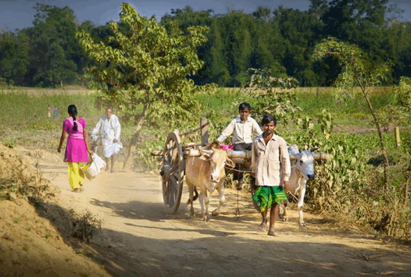 1. ഗുഡ്‌സ് ആന്റ് സെയില്‍സ് ടാക്‌സ് (ജി എസ് ടി) നിലവില്‍ വന്നത് എന്നാണ്? എ) 1 ഏപ്രില്‍ 2017 ബി) 1 ജൂലൈ 2017 സി) 1 ജൂലൈ 2015 ഡി) 1 ജൂലൈ 2015 ഉത്തരം ബി സര്‍ക്കാര്‍ ചില ആവശ്യങ്ങള്‍ക്കായി ചുമത്തുന്ന അധിക നികുതി സെസ്സ് എന്നറിയപ്പെടുന്നു. ചരക്ക് സേവന നികുതി (ജിഎസ്ടി) കൗണ്‍സില്‍ രൂപീകരിച്ചത് 2016-ല്‍ ആണ്. ജിഎസ്ടിയുടെ ആപ്തവാക്യം ഒരു രാഷ്ട്രം, ഒരു നികുതി, ഒരു വിപണി എന്നാണ്. കേരള സംസ്ഥാനത്തെ സൂചിപ്പിക്കുന്ന ജിഎസ്ടി തിരിച്ചറിയല്‍ നമ്പര്‍ 32 ആണ്. ഇന്ത്യയില്‍ വരുമാന നികുതി പിരിക്കുവാനുള്ള അവകാശം കേന്ദ്ര സര്‍ക്കാരിനാണ്. നിലവില്‍ ഇന്ത്യയില്‍ വിവിധ ചരക്കുകളുടേയും സേവനങ്ങളുടേയും ജി എസ് ടി നിരക്ക് 5 ശതമാനവും 18 ശതമാനവും ആണ്. സ്വതന്ത്ര ഇന്ത്യയില്‍ നടപ്പിലാക്കിയ ഏറ്റവും വലിയ നികുതി പരിഷ്‌കാരമാണ് ജിഎസ്ടി. 2. ഏത് പഞ്ചവത്സര പദ്ധതിയാണ് ദാരിദ്ര്യ നിര്‍മ്മാര്‍ജ്ജനം പ്രധാന ലക്ഷ്യമായി സ്വീകരിച്ചത്? എ) ഒന്നാം പഞ്ചവത്സര പദ്ധതി ബി) രണ്ടാം പഞ്ചവത്സര പദ്ധതി സി) അഞ്ചാം പഞ്ചവത്സര പദ്ധതി ഡി) നാലാം പഞ്ചവത്സര പദ്ധതി ഉത്തരം: സി ഒന്നാം പഞ്ചവത്സര പദ്ധതി കൃഷിക്ക് പ്രാധാന്യം നല്‍കി. ഇന്ത്യയില്‍ ആകെ 12 പഞ്ചവത്സര പദ്ധതികള്‍ നടപ്പിലാക്കിയിട്ടുണ്ട്. ഇന്ത്യന്‍ ആസൂത്രണത്തിന്റെ ശില്‍പി എന്നറിയപ്പെടുന്നത് പി സി മഹലനോബിസ് ആണ്. പ്ലാന്‍ഡ് ഇക്കോണമി ഫോര്‍ ഇന്ത്യ എന്ന പുസ്തകം രചിച്ചത് എം വിശ്വേശരയ്യ ആണ്. ആസൂത്രണ കമ്മിഷന്‍ നിലവില്‍വന്നത് 1950-ല്‍ ആണ്. ആസൂത്രണ കമ്മിഷന്റെ ആദ്യ അധ്യക്ഷന്‍ ജവഹര്‍ലാല്‍ നെഹ്‌റു ആണ്. ആസൂത്രണ കമ്മിഷന്റെ ആദ്യ ഉപാധ്യക്ഷന്‍ ഗുല്‍സരിലാല്‍ നന്ദ ആണ്. 3. താഴെ കൊടുത്തിരിക്കുന്നവയില്‍ ആരാണ് ഇന്ത്യന്‍ ഭരണഘടനയുടെ ഡ്രാഫ്റ്റിങ് കമ്മിറ്റിയില്‍ ഇല്ലാതിരുന്നത്? എ) ജവഹര്‍ലാല്‍ നെഹ്‌റു ബി) അല്ലാടി കൃഷ്ണസ്വാമി അയ്യര്‍ സി) ബി എല്‍ മിത്തര്‍ ഡി) കെ എം മുന്‍ഷി ഉത്തരം എ ഭരണഘടനാ നിര്‍മ്മാണസഭയുടെ അധ്യക്ഷന്‍ ഡോ രാജേന്ദ്ര പ്രസാദ് ആയിരുന്നു. ഇന്ത്യയ്ക്ക് ഒരു ഭരണഘടനാ അസംബ്ലി എന്ന ആശയം 1934-ല്‍ മുന്നോട്ടുവച്ച വ്യക്തി എം എന്‍ റോയ് ആണ്. ഭരണഘടനാ നിര്‍മ്മാണസഭയുടെ സെക്രട്ടറി എച്ച് വി ആര്‍ അയ്യങ്കാര്‍ ആയിരുന്നു. 1946 ഡിസംബര്‍ 9-ന് ഭരണഘടനാ നിര്‍മ്മാണസഭയുടെ താല്‍ക്കാലിക അധ്യക്ഷനായി സച്ചിദാനന്ദ സിന്‍ഹയെ തിരഞ്ഞെടുത്തു. ഭരണഘടന നിര്‍മ്മാണ സഭ രൂപീകരിച്ചത് 1946 ഡിസംബര്‍ 6-ന് ആണ്. 1946 ഡിസംബര്‍ 13-ന് ജവഹര്‍ലാല്‍ നെഹ്‌റു ഭരണഘടന നിര്‍മ്മാണ സഭയില്‍ ലക്ഷ്യപ്രമേയം അവതരിപ്പിച്ചു. 4. ഭരണഘടനയുടെ ഏത് ഭേദഗതി വഴിയാണ് അനുച്ഛേദം 300എ കൊണ്ടുവന്നത്? എ) ഭേദഗതി 42 ബി) ഭേദഗതി 44 സി) ഭേദഗതി 64 ഡി) ഭേദഗതി 73 ഉത്തരം ബി 42-ാം ഭരണഘടനാ ഭേദഗതി മിനി കോണ്‍സ്റ്റിറ്റിയൂഷന്‍ എന്നറിയപ്പെടുന്നു 42-ാം ഭരണഘടനാ ഭേദഗതി കൊണ്ടുവന്ന പ്രധാനമന്ത്രി ഇന്ദിരാഗാന്ധിയാണ്. 42-ാം ഭരണഘടനാ ഭേദഗതിയില്‍ ഒപ്പുവച്ച രാഷ്ട്രപതി ഫക്രുദ്ദീന്‍ അലി അഹമ്മദ് ആണ്. സ്വത്തവകാശത്തെക്കുറിച്ച് പ്രതിപാദിക്കുന്ന അനുച്ഛേദമാണ് 300എ. സ്വത്തവകാശം ഇപ്പോള്‍ നിയമപരമായ അവകാശം ആണ്. ഭരണഘടന നിലവില്‍ വരുമ്പോള്‍ മൗലികാവകാശമായിരുന്ന സ്വത്തവകാശത്തെ നിയമാവകാശമാക്കി മാറ്റിയത് 42-ാം ഭരണഘടനാ ഭേദഗതിയിലൂടെയാണ്. 5. താഴെപ്പറയുന്നവരില്‍ കേരളത്തില്‍ നിന്നുള്ള ഏത് വനിതയാണ് ഇന്ത്യന്‍ ഭരണഘടനാ അസംബ്ലിയില്‍ അംഗമല്ലാത്തത് എ) ദാക്ഷായണി വേലായുധന്‍ ബി) അമ്മു സ്വാമിനാഥന്‍ സി) അക്കാമ്മ ചെറിയാന്‍ ഡി) ആനിമസ്‌ക്രീന്‍ ഉത്തരം സി ഭരണഘടനാ നിര്‍മ്മാണസഭയില്‍ മദ്രാസ് പ്രവിശ്യയെ പ്രതിനിധാനം ചെയ്ത ഏക ദളിത് വനിതയായിരുന്നു ദാക്ഷായണി വേലായുധന്‍. സെന്‍ട്രല്‍ ലെജിസ്ലേറ്റീവ് അസംബ്ലി, കോണ്‍സ്റ്റിറ്റിയുവന്റ് അസംബ്ലി, ഇടക്കാല പാര്‍ലമെന്റ്, ലോകസഭ, രാജ്യസഭ എന്നിങ്ങനെ ഇന്ത്യന്‍ പാര്‍ലമെന്റ് ചരിത്രത്തിലെ എല്ലാ സഭകളിലും അംഗമായ ഏക മലയാളി വനിതായണ് അമ്മു സ്വാമിനാഥന്‍. തിരുവിതാംകൂറിലെ ജൊവാന്‍ ഓഫ് ആര്‍ക്ക് എന്നറിയപ്പെടുന്നത് അക്കാമ്മ ചെറിയാന്‍ ആണ്. ഭരണഘടനയുടെ കരടുരേഖയില്‍ ഒപ്പിട്ട മലയാളിയായ വനിതയാണ് ആനിമസ്‌ക്രീന്‍. 6. 1857-ലെ കലാപകാലത്ത് ഇന്ത്യയുടെ ബ്രിട്ടീഷ് ഗവര്‍ണര്‍ ജനറല്‍ ആരായിരുന്നു? എ) കാനിങ് പ്രഭു ബി) ഡല്‍ഹൗസി പ്രഭു സി) എല്‍ജിന്‍ പ്രഭു ഡി) ലിട്ടണ്‍ പ്രഭു ഉത്തരം എ 1857 മെയ് പത്തിന് കലാപം ആരംഭിച്ച മീററ്റിലെ പട്ടാളക്കാര്‍ ഡല്‍ഹി പിടിച്ചെടുത്ത് അവസാനത്തെ മുഗള്‍ ചക്രവര്‍ത്തിയായ ബഹദൂര്‍ ഷാ രണ്ടാമനെ ഇന്ത്യയുടെ ചക്രവര്‍ത്തിയായി പ്രഖ്യാപിച്ചു. 1857-ലെ കലാപകാലത്തെ ആദ്യ കലാപകാരി മംഗള്‍ പാണ്ഡെ ആയിരുന്നു. മംഗള്‍ പാണ്ഡെ 34-ാം തദ്ദേശീയ കാലാള്‍പടയുടെ ആറാം കമ്പനിയിലാണ് സേവനം അനുഷ്ടിച്ചിരുന്നത്. ഗറില്ലാ യുദ്ധ മുറകള്‍ക്ക് പ്രസിദ്ധനായ കലാപ നേതാവ് താന്തിയാതോപ്പി ആയിരുന്നു. 1857-ലെ കലാപത്തിന് ഝാന്‍സിയില്‍ നേതൃത്വം നല്‍കിയ ലക്ഷ്മീബായിയുടെ യഥാര്‍ഥ പേര് മണികര്‍ണിക എന്നായിരുന്നു. ബീഹാറിലെ ജഗദീഷ്പൂരില്‍ കലാപത്തിന് നേതൃത്വം നല്‍കിയത് കണ്‍വന്‍സിങ് ആണ്. ഡല്‍ഹിയില്‍ കലാപം നയിച്ചത് ബഹദൂര്‍ഷായുടെ ജനറലായിരുന്ന ഭക്ത് ഖാന്‍ ആണ്. അവസാന പേഷ്വയായിരുന്ന ബാജിറാവു രണ്ടാമന്റെ ദത്തുപുത്രനായ നാനാസാഹിബ് കാണ്‍പൂരില്‍ കലാപം നയിച്ചു. 7. ഏത് ഭരണഘടന ഭേദഗതിയിലൂടെയാണ് മതേതരത്വം എന്ന വാക്ക് ആമുഖത്തില്‍ ഉള്‍പ്പെടുത്തിയത്? എ) 42 ബി) 44 സി) 46 ഡി) 43 ഉത്തരം എ ഇന്ത്യന്‍ ഭരണഘടനയുടെ ആമുഖം തയ്യാറാക്കിയത് ജവഹര്‍ലാല്‍ നെഹ്‌റു ആണ്. ഇന്ത്യന്‍ ഭരണഘടനയുടെ ആമുഖത്തിലെ ആദ്യത്തെ അഞ്ചുവാക്കുകള്‍ വീ ദി പീപ്പിള്‍ ഓഫ് ഇന്ത്യ (ഇന്ത്യയിലെ ജനങ്ങളായ നാം) എന്നാണ്. ഭരണഘടനയുടെ ആമുഖത്തെ അതിന്റെ തിരിച്ചറിയല്‍ കാര്‍ഡ് എന്ന് വിശേഷിപ്പിച്ചത് നാനി പല്‍ക്കിവാല ആണ്. ആമുഖത്തെ ഭരണഘടനയുടെ ഹൃദയവും ആത്മാവും എന്ന് വിശേഷിപ്പിച്ച ന്യായാധിപന്‍ എം ഹിദായത്തുള്ള ആണ്. ഭരണഘടനയുടെ ആമുഖത്തെ ഇതുവരെ ഒരു തവണയാണ് ഭേദഗതി ചെയ്തിട്ടുള്ളത്. ഇന്ത്യന്‍ ഭരണഘടനയുടെ ആമുഖത്തില്‍ 42-ാം ഭേദഗതിയിലൂടെ കൂട്ടിച്ചേര്‍ത്ത വാക്കുകള്‍ സോഷ്യലിസ്റ്റ്, സെക്കുലര്‍, ഇന്റഗ്രിറ്റി എന്നിവയാണ്. ആമുഖത്തിന്റെ ആശയം ഇന്ത്യ കടം കൊണ്ടിരിക്കുന്നത് യുഎസ്എയില്‍നിന്നും ഭാഷ കടം കൊണ്ടിരിക്കുന്നത് ഓസ്‌ട്രേലിയയില്‍നിന്നുമാണ്. ഇന്ത്യന്‍ ഭരണഘടനയുടെ ആമുഖത്തിലെ ഏക തിയതി 1949 നവംബര്‍ 26 ആണ്. 8. മനുഷ്യ മസ്തിഷ്‌കത്തിലെ പ്രധാന ചിന്താഭാഗം ഏതാണ്? എ) ഹൈന്‍ഡ് ബ്രെയ്ന്‍ ബി) സെറിബ്രം സി) മിഡ് ബ്രെയ്ന്‍ ഡി) ഇവയൊന്നുമല്ല ഉത്തരം ബി മനുഷ്യ ശരീരത്തിലെ തപാലാഫീസ് എന്ന് വിശേഷിപ്പിക്കപ്പെടുന്നത് തലാമസ് ആണ്. ഉറക്കസമയത്ത് സെറിബ്രത്തിലേക്കുള്ള ആവേഗങ്ങളെ തടയുന്നത് തലാമസ് ആണ്. മസ്തിഷ്‌കത്തിന്റെ ഏറ്റവും വലിയ ഭാഗം ആണ് സെറിബ്രം. ലഹരി പാനീയങ്ങള്‍ പ്രധാനമായും സെറിബെല്ലത്തെയാണ് ബാധിക്കുന്നത്. നാഡികളുടെ പഠനം സംബന്ധിച്ച ശാസ്ത്രശാഖയാണ് ന്യൂറോളജി. പേശികളുടെ ചലനത്തെ നിയന്ത്രിക്കുന്ന മസ്തിഷ്‌കഭാഗം ആണ് സെറിബെല്ലം 9. എം ടി വാസുദേവന്‍നായര്‍ക്ക് ജ്ഞാനപീഠം ലഭിച്ച വര്‍ഷമേത്? എ) 2019 ബി) 1984 സി) 2007 ഡി) 1995 ഉത്തരം ഡി എം ടി വാസുദേവന്‍ നായര്‍ കൂടല്ലൂരിന്റെ കഥാകാരന്‍ എന്നറിയപ്പെടുന്നു. നാലുകെട്ട്, അസുരവിത്ത്, മഞ്ഞ്, കാലം, കുട്ട്യേടത്തി, വാനപ്രസ്ഥം തുടങ്ങിയവ എംടിയുടെ പ്രധാന നോവലുകള്‍ ആണ്. എം ടി സംവിധാനം ചെയ്ത നിര്‍മാല്യം എന്ന സിനിമയ്ക്ക് 1973-ല്‍ പ്രസിഡന്റിന്റെ സ്വര്‍ണമെഡല്‍ ലഭിച്ചു. ജ്ഞാനപീഠം നേടിയ മലയാളികള്‍: ജി ശങ്കരക്കുറുപ്പ് (1965), എസ് കെ പൊറ്റക്കാട് (1980), തകഴി ശിവശങ്കരപ്പിള്ള (1984), എം ടി വാസുദേവന്‍ നായര്‍ (1995), ഒഎന്‍വി കുറുപ്പ് (2007), അക്കിത്തം അച്യുതന്‍ നമ്പൂതിരി (2019). പാര്‍ലമെന്റംഗമെന്ന നിലയില്‍ എസ് കെ പൊറ്റക്കാട്ട് രചിച്ച് പൂര്‍ത്തിയാകാതെ പോയ നോവലാണ് നോര്‍ത്ത് അവന്യൂ. ഓടക്കുഴല്‍ എന്ന കവിതാസമാഹാരമാണ് ജി ശങ്കരക്കുറുപ്പിനെ ആദ്യ ജ്ഞാനപീഠ പുരസ്‌കാരത്തിന് അര്‍ഹനാക്കിയത്. എസ് കെ പൊറ്റക്കാട്ടിന്റെ ഒരു ദേശത്തിന്റെ കഥ എന്ന നോവലിനാണ് പുരസ്‌കാരം ലഭിച്ചത്. 10. രാജ്യസഭയുടെ എക്‌സ് ഒഫീഷ്യോ ചെയര്‍മാന്‍ ആരാണ്? എ) ഇന്ത്യയുടെ രാഷ്ട്രപതി ബി) ഇന്ത്യയുടെ ഉപരാഷ്ട്രപതി സി) സ്പീക്കര്‍ ഡി) ഡെപ്യൂട്ടി ചെയര്‍മാന്‍ ഉത്തരം ബി ഇന്ത്യയുടെ ദ്വിതീയ പൗരന്‍ എന്നറിയപ്പെടുന്നത് രാഷ്ട്രപതിയാണ്. ഉപരാഷ്ട്രപതിയെ തിരഞ്ഞെടുക്കാനുള്ള നിയോജക മണ്ഡലത്തില്‍ പാര്‍ലമെന്റിലെ തിരഞ്ഞെടുക്കപ്പെട്ട അംഗങ്ങളും നാമനിര്‍ദ്ദേശം ചെയ്യപ്പെട്ട അംഗങ്ങളും ഉള്‍പ്പെടുന്നു. രാഷ്ട്രപതിയുടെ അസാന്നിദ്ധ്യത്തില്‍ ചുമതല വഹിക്കുന്നത് ഉപരാഷ്ട്രപതിയാണ്. രാഷ്ട്രപതി സ്ഥാനം ഒഴിവ് വന്നാല്‍ ഉപരാഷ്ട്രപതിക്ക് ആറ് മാസം ചുമതല വഹിക്കാം. ഉപരാഷ്ട്രപതി തിരഞ്ഞെടുപ്പിന്റെ റിട്ടേണിങ് ഓഫീസര്‍ ലോകസഭയുടെ അല്ലെങ്കില്‍ രാജ്യസഭയുടെ സെക്രട്ടറി ജനറല്‍ ആണ്. 11. കേരളത്തിലെ ഏത് ജില്ലയിലാണ് ധോണി വെള്ളച്ചാട്ടം സ്ഥിതി ചെയ്യുന്നത്? എ) കാസര്‍ഗോഡ് ബി) മലപ്പുറം സി) കണ്ണൂര്‍ ഡി) പാലക്കാട് ഉത്തരം ഡി ആതിരപ്പിള്ളി, വാഴച്ചാല്‍ വെള്ളച്ചാട്ടങ്ങള്‍ തൃശൂര്‍ ജില്ലയിലാണ്. പാലരുവി വെള്ളച്ചാട്ടം കൊല്ലം ജില്ലയിലാണ്. മങ്കയം വെള്ളച്ചാട്ടം തിരുവന്തപുരം ജില്ലയിലാണ്. സൂചിപ്പാറ വെള്ളച്ചാട്ടം വയനാട് ജില്ലയിലാണ്. സീതാര്‍കുണ്ട് വെള്ളച്ചാട്ടം പാലക്കാട് ജില്ലയിലാണ്. പെരുന്തേനരുവി വെള്ളച്ചാട്ടം പത്തനംതിട്ട ജില്ലയിലാണ്. തുഷാരഗിരി വെള്ളച്ചാട്ടം കോഴിക്കോട് ജില്ലയിലാണ്. 12. കേന്ദ്ര കിഴങ്ങുവിള ഗവേഷണ കേന്ദ്രം സ്ഥിതി ചെയ്യുന്നത്? എ) കരമന ബി) പാമ്പാടുംപാറ സി) പീച്ചി ഡി) ശ്രീകാര്യം ഉത്തരം ഡി മലബാര്‍ ബൊട്ടാണിക്കല്‍ ഗാര്‍ഡന്‍ സ്ഥിതി ചെയ്യുന്നത് കോഴിക്കോട് ജില്ലയിലെ ഒളവണ്ണയിലാണ്. കയര്‍ ബോര്‍ഡിന്റെ ആസ്ഥാനം കൊച്ചി ആണ്. കേരഫെഡിന്റെ ആസ്ഥാനം തിരുവനന്തപുരത്ത് ആണ്. സ്‌പൈസസ് ബോര്‍ഡ് ആസ്ഥാനമായ സുഗന്ധഭവന്‍ എറണാകുളം ജില്ലയിലെ പാലാരിവട്ടത്ത് ആണ്. റബ്ബര്‍ ബോര്‍ഡിന്റെ ആസ്ഥാനം കോട്ടയം ആണ്. നാളികേര വികസന ബോര്‍ഡിന്റെ ആസ്ഥാനം കൊച്ചി. 13. ഇന്ത്യന്‍ ഭരണഘടനയ്ക്ക് കീഴില്‍ എത്ര മൗലിക കര്‍ത്തവ്യങ്ങളുണ്ട്? എ) 10 ബി) 11 സി) 8 ഡി) 9 ഉത്തരം ബി മൗലിക കടമകളെ ഭരണഘടനയുടെ ഭാഗമാക്കിയത് 42-ാമത്തെ ഭരണഘടനാ ഭേദഗതിയിലൂടെയാണ്. മൗലിക ചുമതലകളെന്ന ആശയത്തിന് ഇന്ത്യ പ്രധാനമായും കടപ്പെട്ടിരിക്കുന്ന രാജ്യം യു എസ് എസ് ആര്‍. ഭരണഘടനയില്‍ മൗലിക ചുമതലകള്‍ ഉള്‍പ്പെടുത്തുന്നതിന് ശിപാര്‍ശ ചെയ്ത കമ്മിറ്റി സ്വരണ്‍സിങ് കമ്മിറ്റിയാണ്. ഭരണഘടനയുടെ 86-ാം ഭേദഗതി പ്രകാരം മൗലിക കടമകളില്‍ കൂട്ടിച്ചേര്‍ക്കപ്പെട്ട അനുച്ഛേദം 51 എ (കെ) ആണ്. ആറ് വയസ്സിനും 14 വയസ്സിനും ഇടയ്ക്ക് പ്രായമുള്ള കുട്ടികളുടെ മാതാപിതാക്കളോ രക്ഷകര്‍ത്താക്കളോ കുട്ടികളുടെ വിദ്യാഭ്യാസത്തിനുള്ള അവസരങ്ങള്‍ ഏര്‍പ്പെടുത്തണം എന്ന് അനുച്ഛേദം 51 എ (കെ) പ്രതിപാദിക്കുന്നു. അനുബന്ധ വസ്തുതകള്‍ ചരക്കുസേവനങ്ങള്‍ക്കുമേല്‍ സംസ്ഥാന സര്‍ക്കാര്‍ ചുമത്തുന്ന ജിഎസ്ടി ആണ് സ്റ്റേറ്റ് ജിഎസ്ടി. ജിഎസ്ടിയെക്കുറിച്ചുള്ള കേരള പി എസ് സിയുടെ ചോദ്യവും ഉത്തരവും അനുബന്ധവസ്തുതകളും പഠിക്കാം. ആസൂത്രണ കമ്മീഷന്റെ അവസാനത്തെ ഉപാദ്ധ്യക്ഷന്‍ മൊണ്ടേക് സിങ് അലുവാലിയ ആണ്. ആധാര്‍ നടപ്പിലാക്കിയത് 11-ാം പഞ്ചവത്സര പദ്ധതിക്കാലത്താണ്. മഹാത്മാഗാന്ധി മോഡല്‍ എന്നറിയപ്പെട്ട പഞ്ചവത്സര പദ്ധതി ആറാം പദ്ധതിയാണ്. kerala psc five year plans previous questions kerala psc five year plans pyq five year plans psc questions pdf kerala psc indian economy five year plans questions പഞ്ചവത്സര പദ്ധതികൾ psc ചോദ്യങ്ങൾ five year plans kerala psc pdf kerala psc five year plans repeated questions five year plans important questions kerala psc kerala psc degree level five year plans pyq panchavatsara padhathi psc questions malayalam pdf kerala psc ldc five year plans previous year questions indian five year plans psc questions and answers pdf planning commission and five year plans kerala psc niti aayog and five year plans psc questions kerala psc economics five year plans mcq pdf പഞ്ചവത്സര പദ്ധതികൾ kerala psc ചോദ്യങ്ങൾ pdf ഇന്ത്യൻ പഞ്ചവത്സര പദ്ധതികൾ psc previous questions five year plans psc malayalam notes pdf പഞ്ചവത്സരപദ്ധതികൾ psc pdf downloadkerala psc economics previous questions pdf indian economy planning psc questions kerala psc 10th level five year plans questions five year plans talent academy psc kerala psc pyq topic wise pdf
